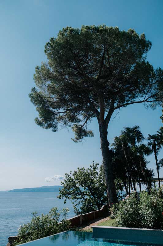 A Light That Never Goes Out