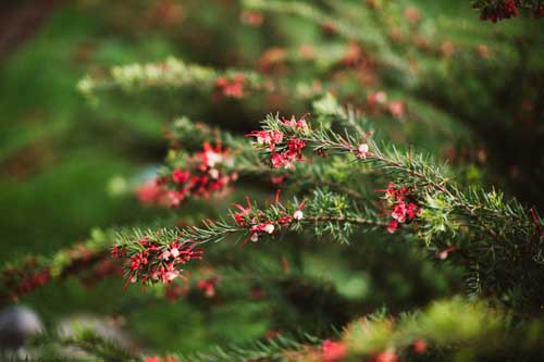 As long as there’s Moon