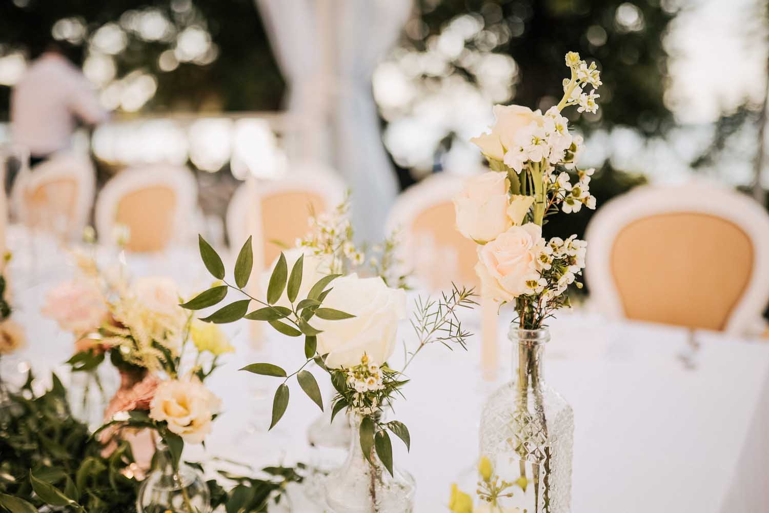 Baby, I Just Want to Dance