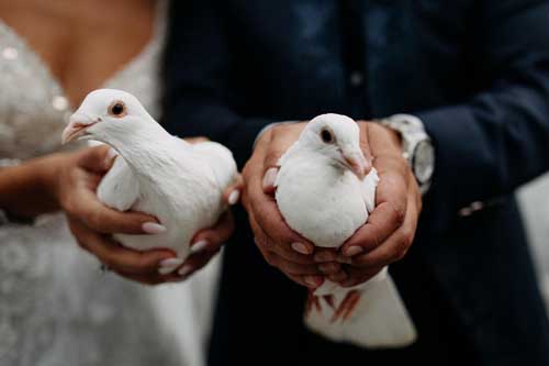 Darling, You Look Perfect Tonight