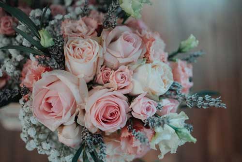 Every Night I’ll Kiss You