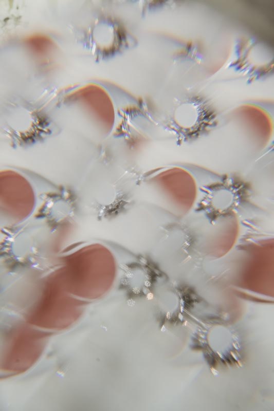 Home Is Where You Are