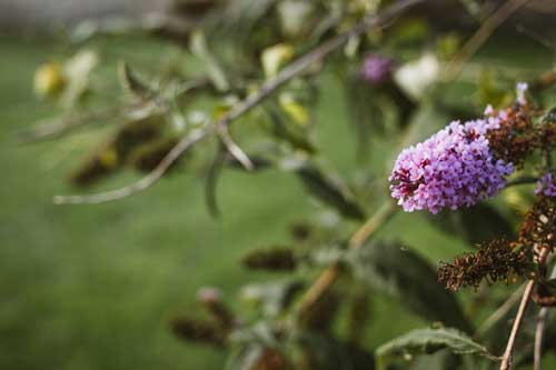 I Have Been Around the World