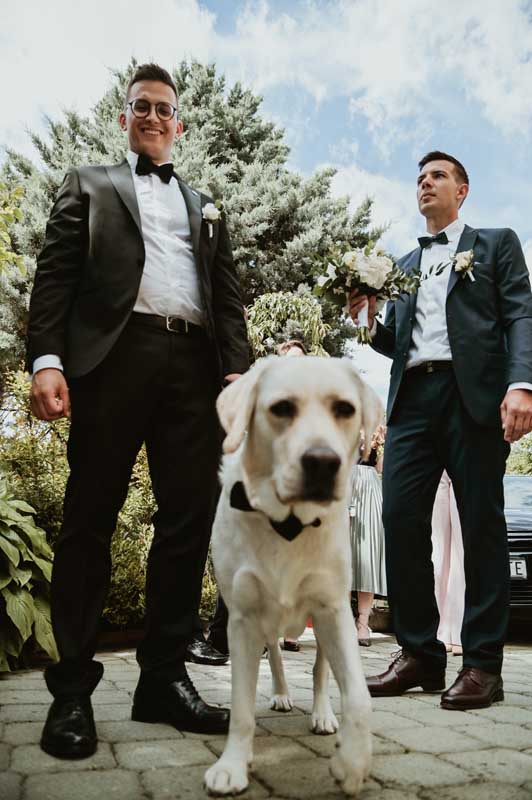 I Wanna Be Your Everything