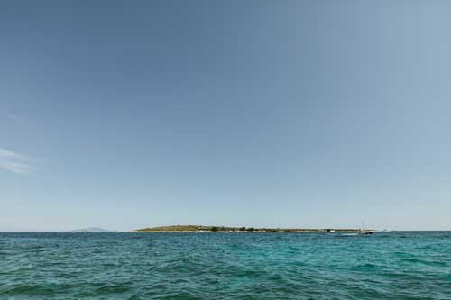 Two Sparrows in a Hurricane