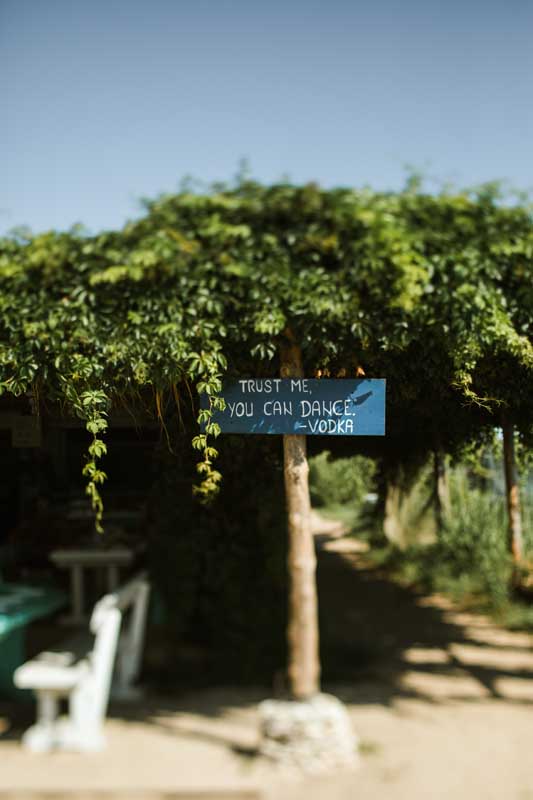 Two Sparrows in a Hurricane