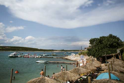 Two Sparrows in a Hurricane