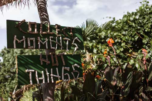 Two Sparrows in a Hurricane