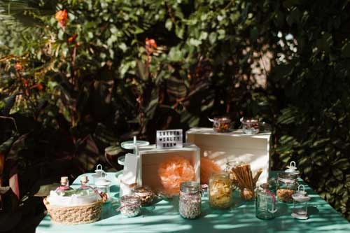 Two Sparrows in a Hurricane