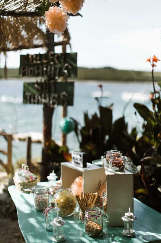 Two Sparrows in a Hurricane