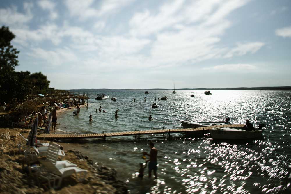 Two Sparrows in a Hurricane