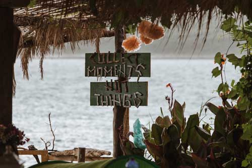 Two Sparrows in a Hurricane
