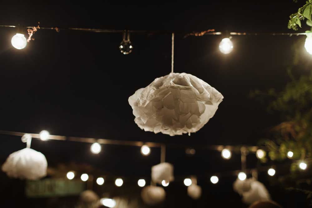 Two Sparrows in a Hurricane