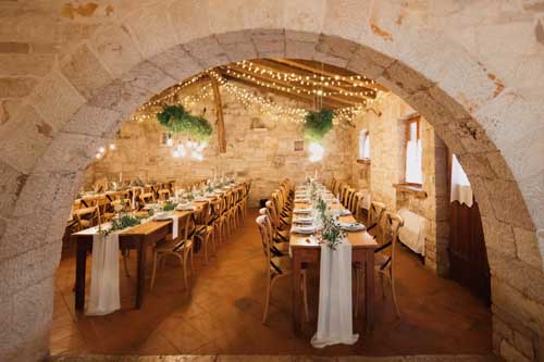 Under a Thousand Stars