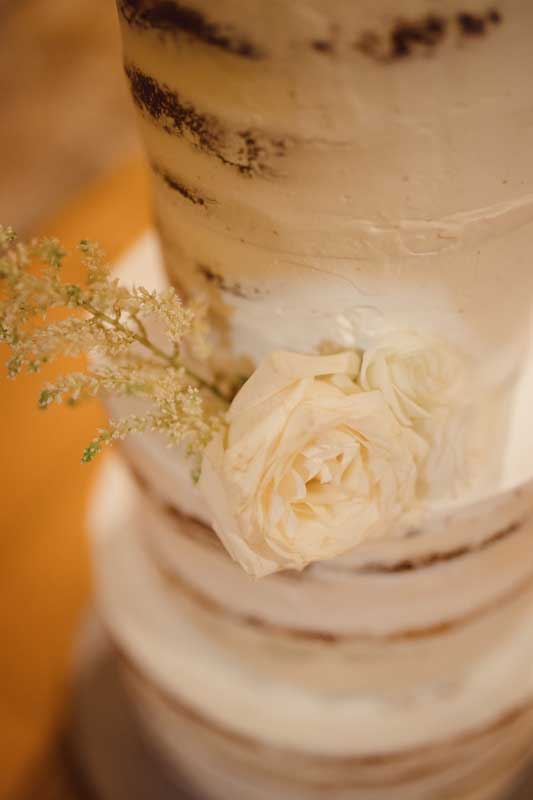 Under a Thousand Stars