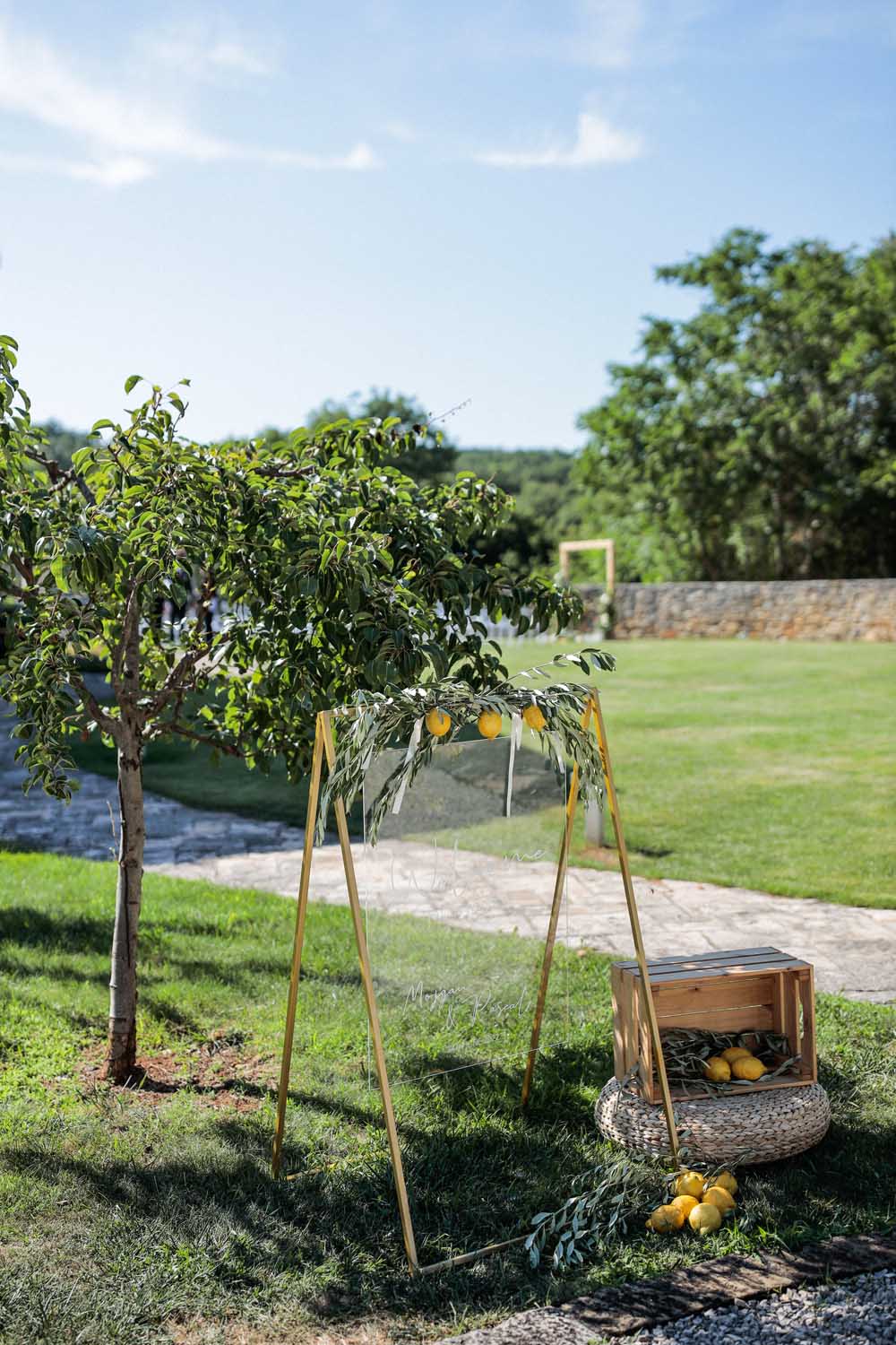 You are the Best Thing